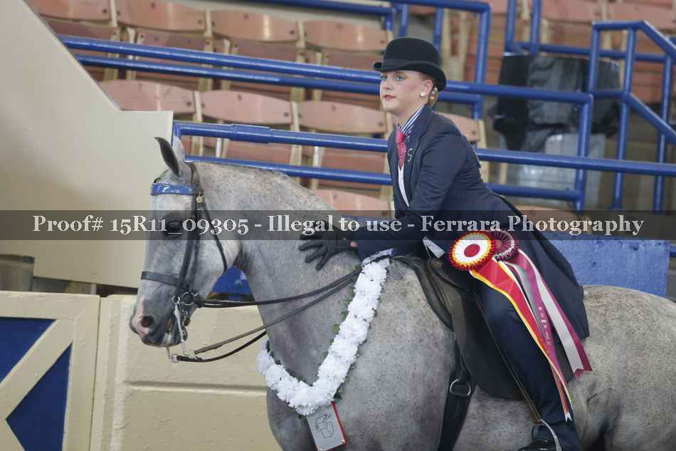 Proof 15R11_09305