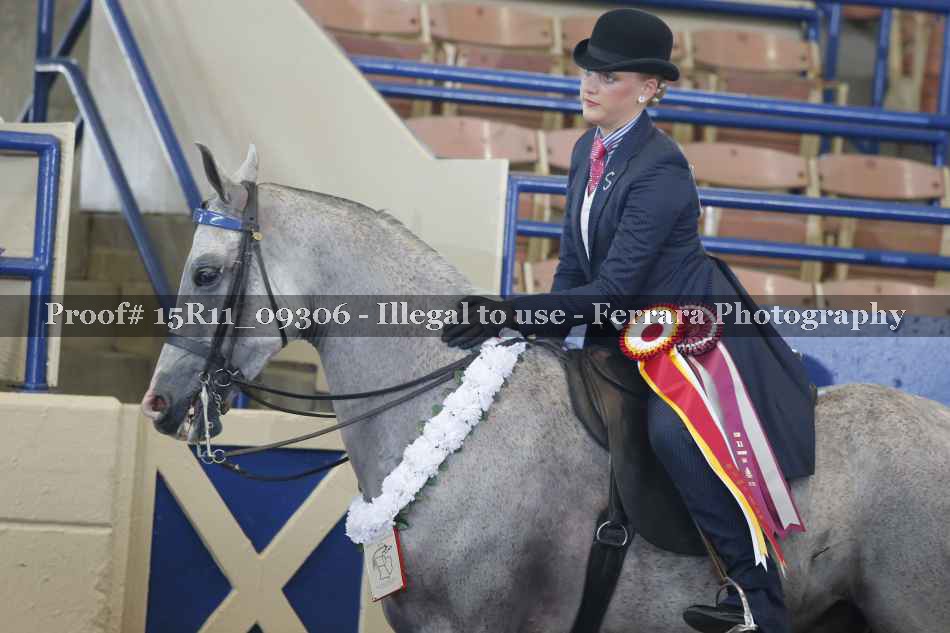 Proof 15R11_09306