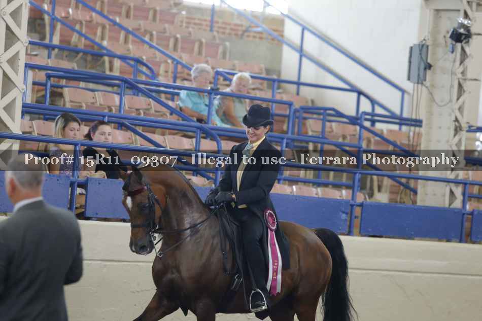 Proof 15R11_09307