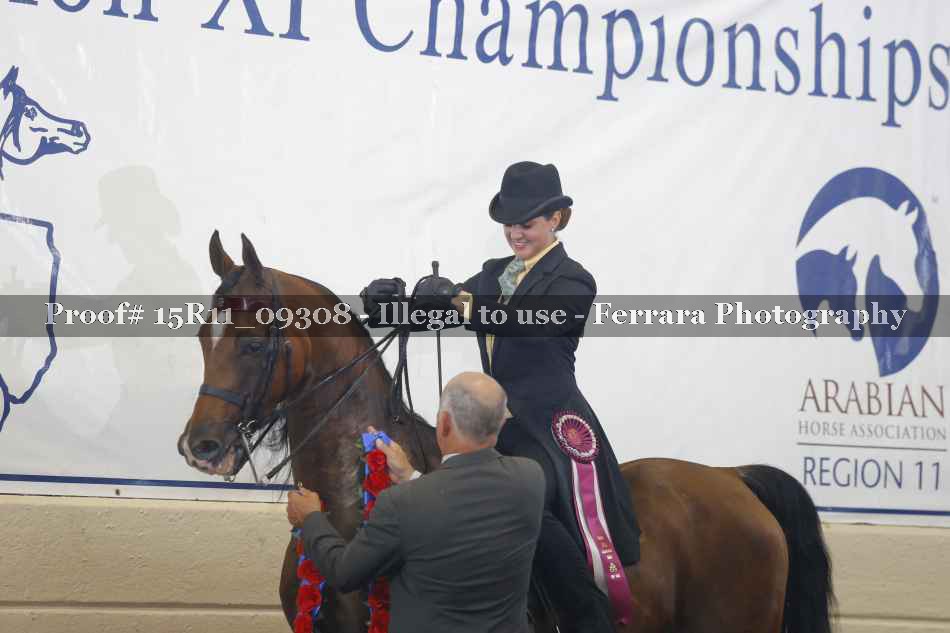 Proof 15R11_09308