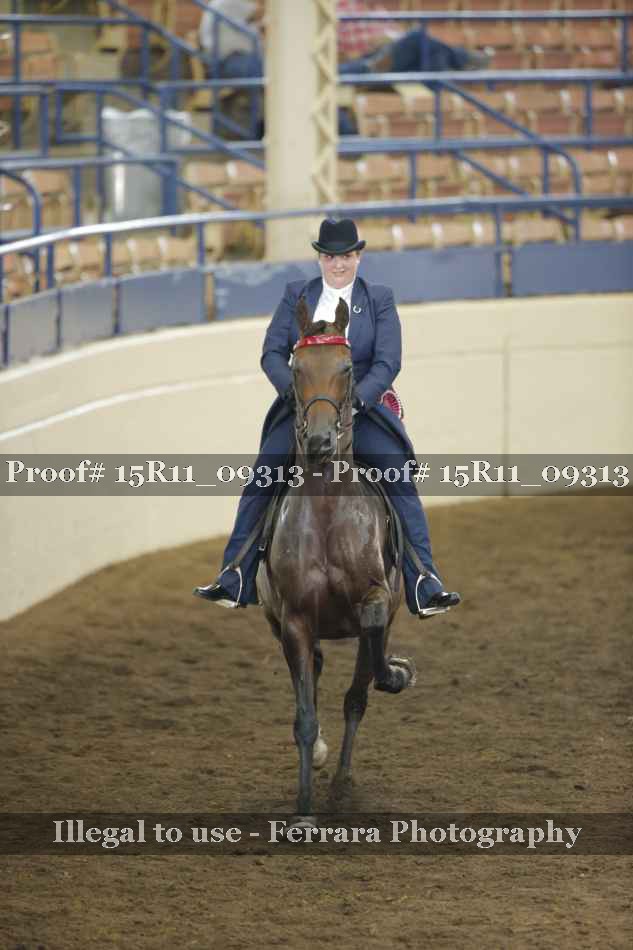 Proof 15R11_09313