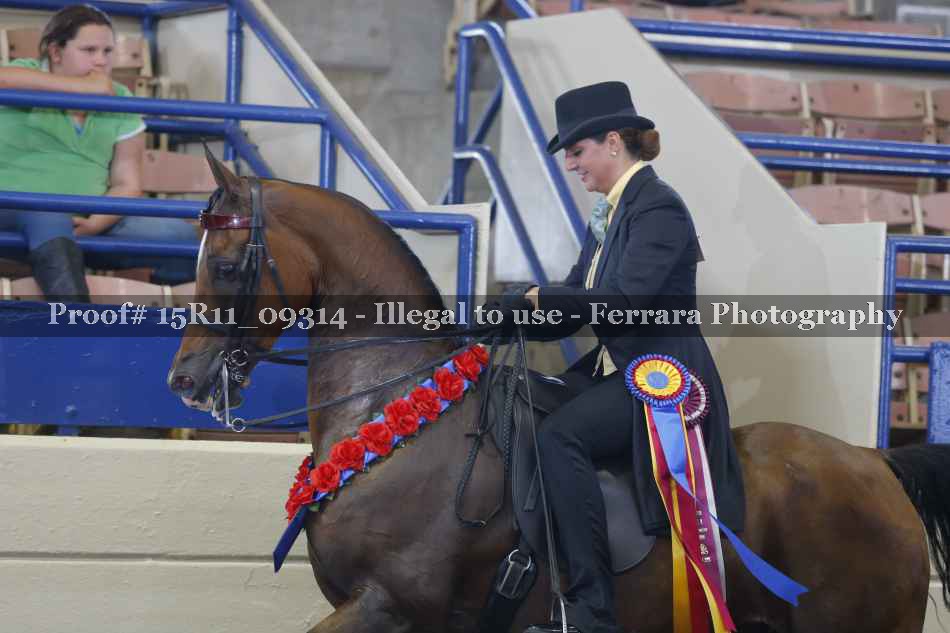 Proof 15R11_09314