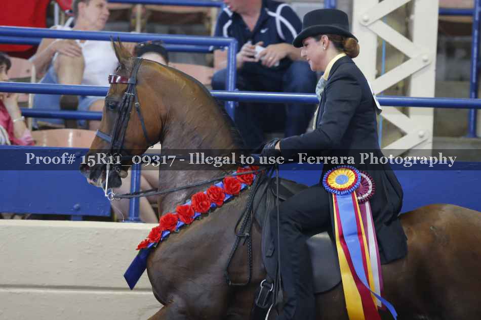 Proof 15R11_09317