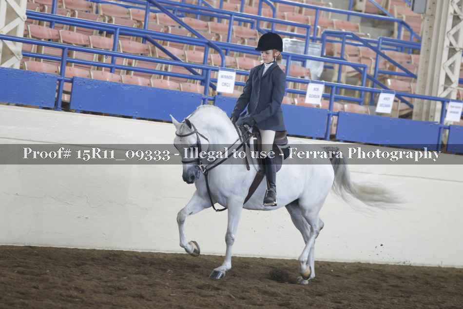 Proof 15R11_09333