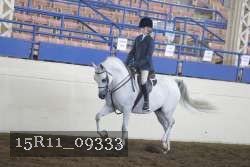 15R11_09333 proof