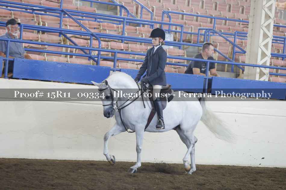 Proof 15R11_09334