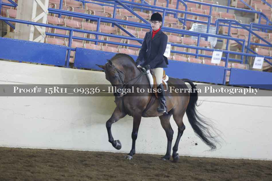 Proof 15R11_09336