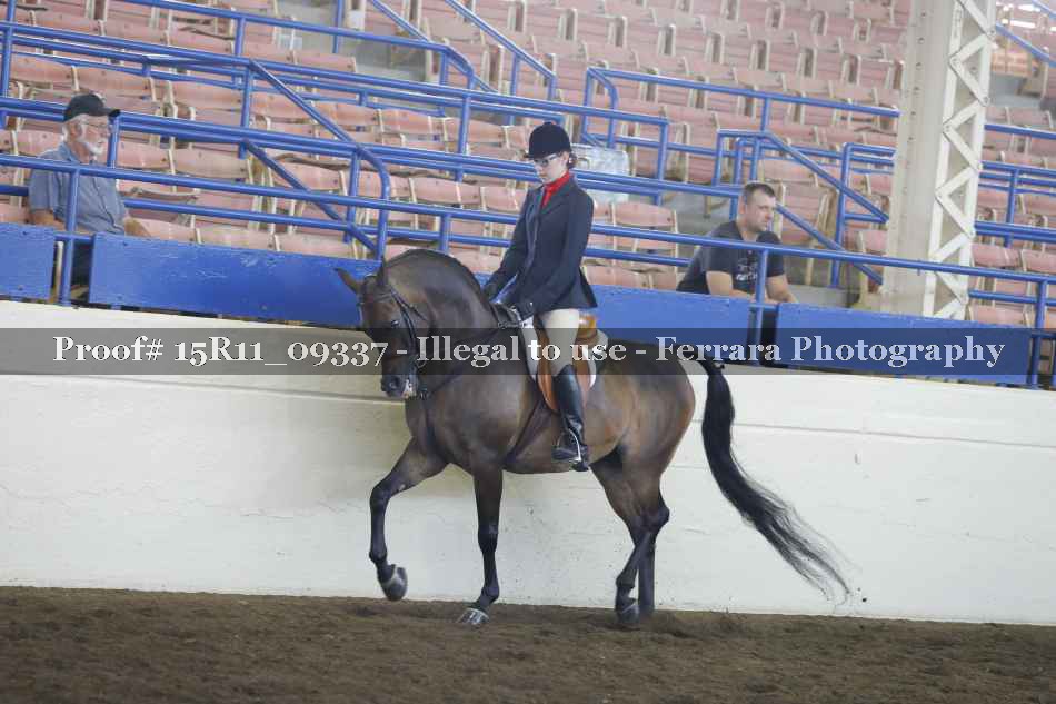 Proof 15R11_09337