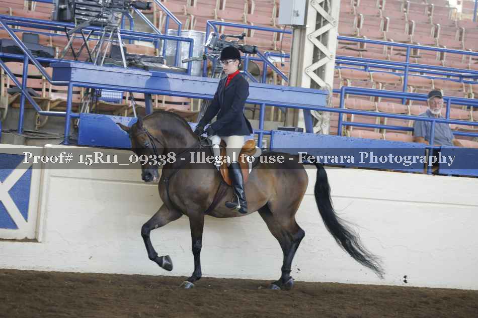 Proof 15R11_09338