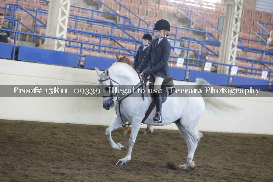 Proof 15R11_09339
