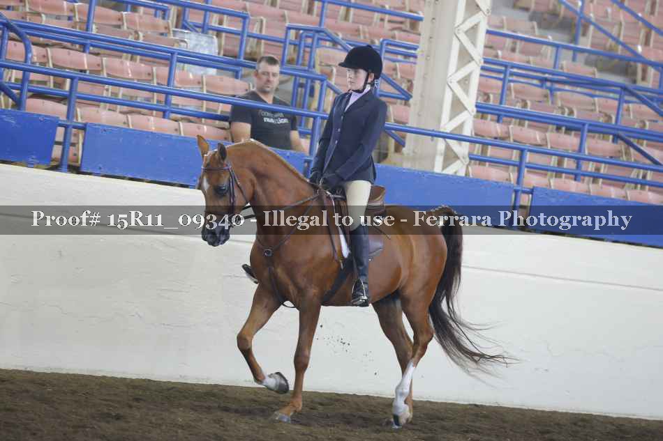 Proof 15R11_09340