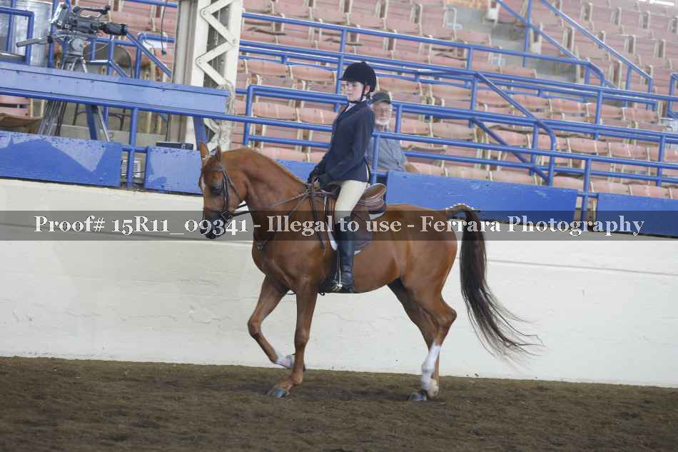 Proof 15R11_09341