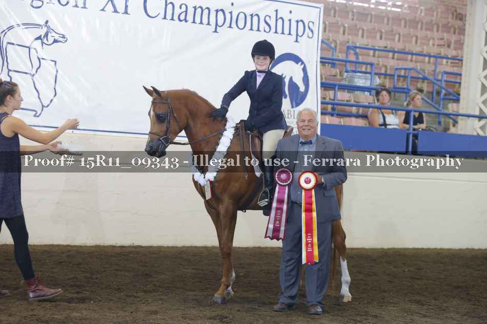 Proof 15R11_09343