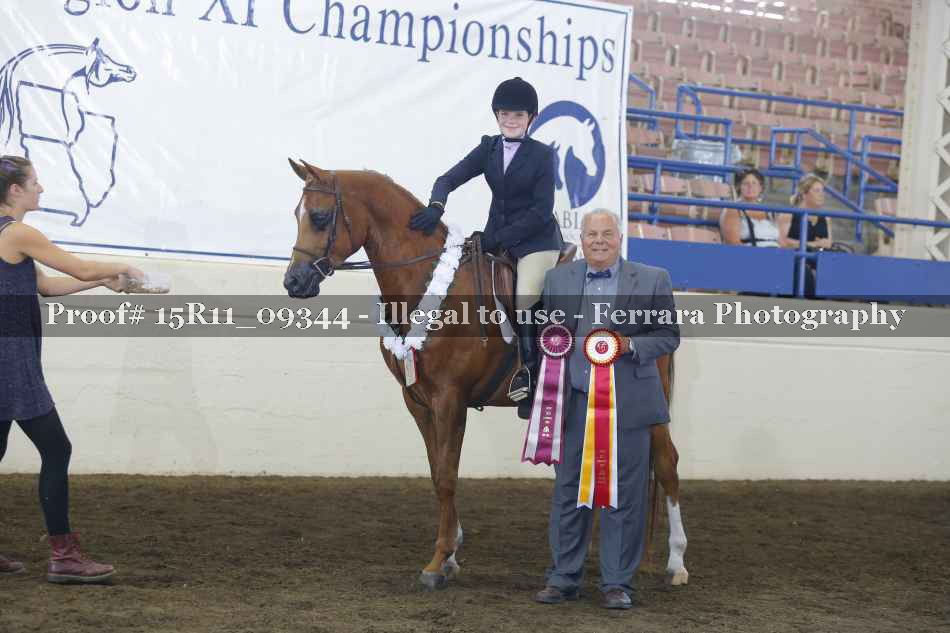 Proof 15R11_09344
