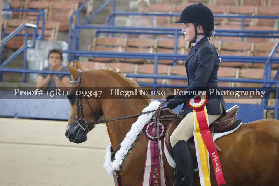 Proof 15R11_09347