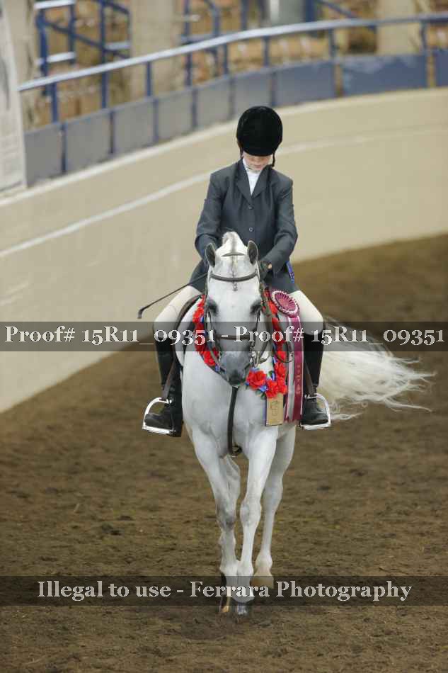 Proof 15R11_09351