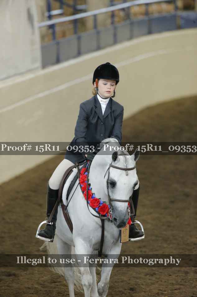 Proof 15R11_09353