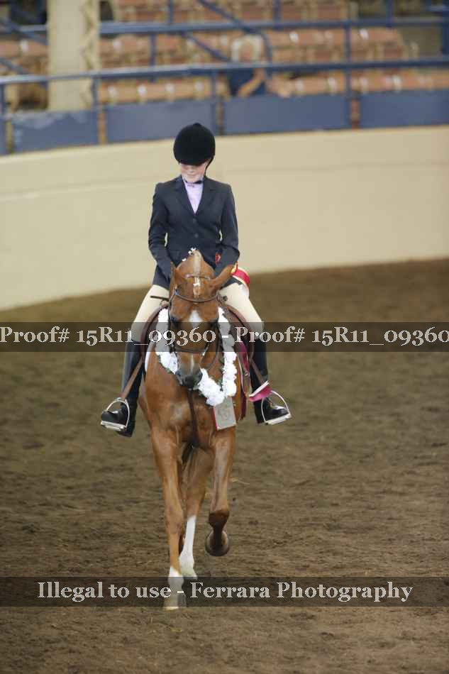 Proof 15R11_09360
