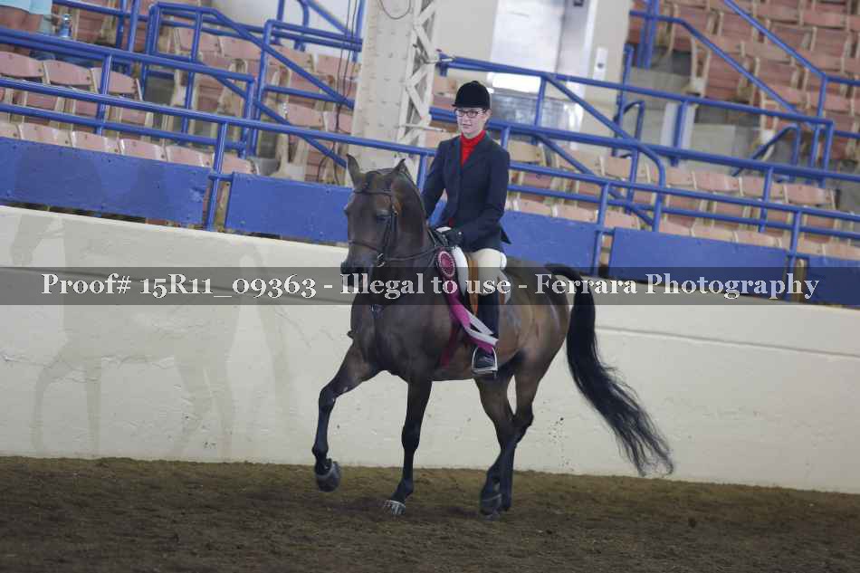 Proof 15R11_09363