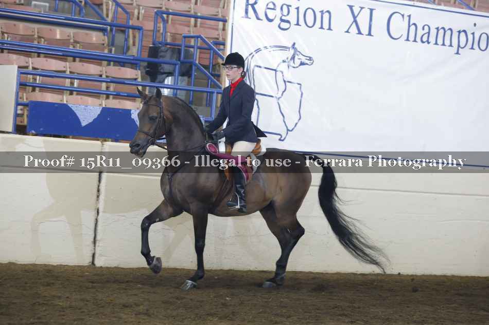 Proof 15R11_09366