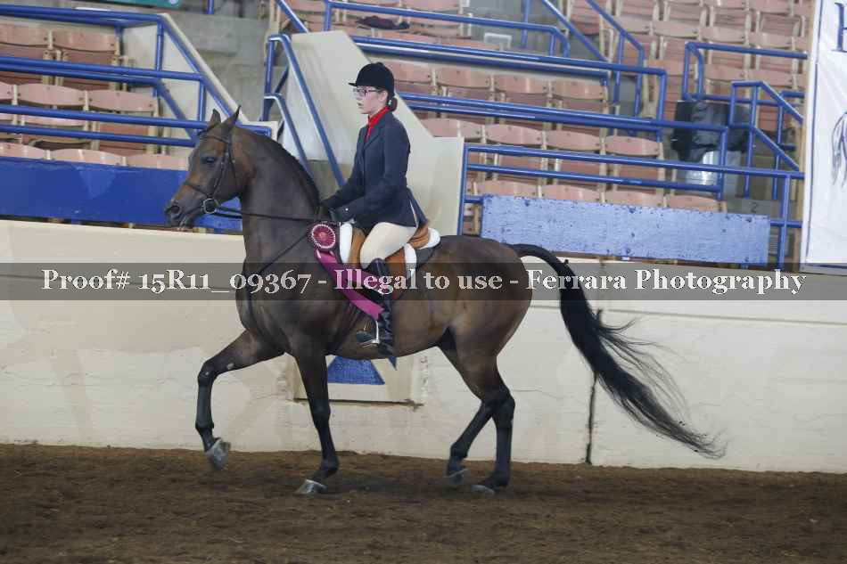 Proof 15R11_09367