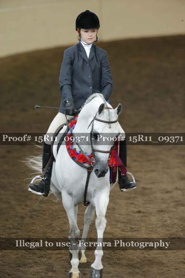Proof 15R11_09371