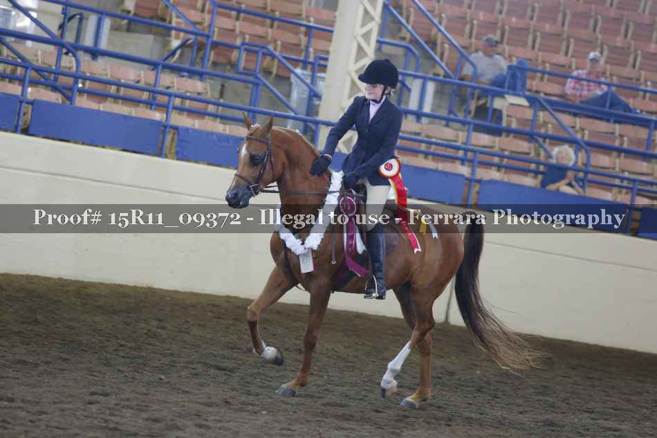 Proof 15R11_09372