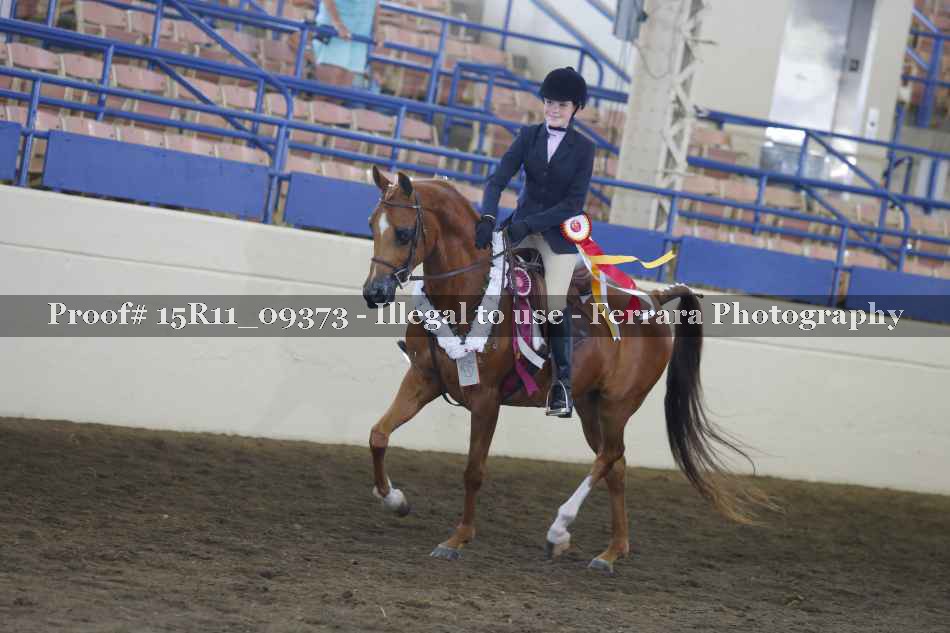 Proof 15R11_09373