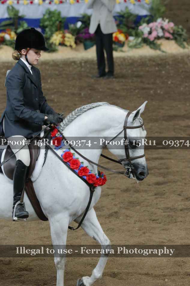 Proof 15R11_09374