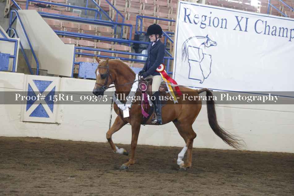 Proof 15R11_09375