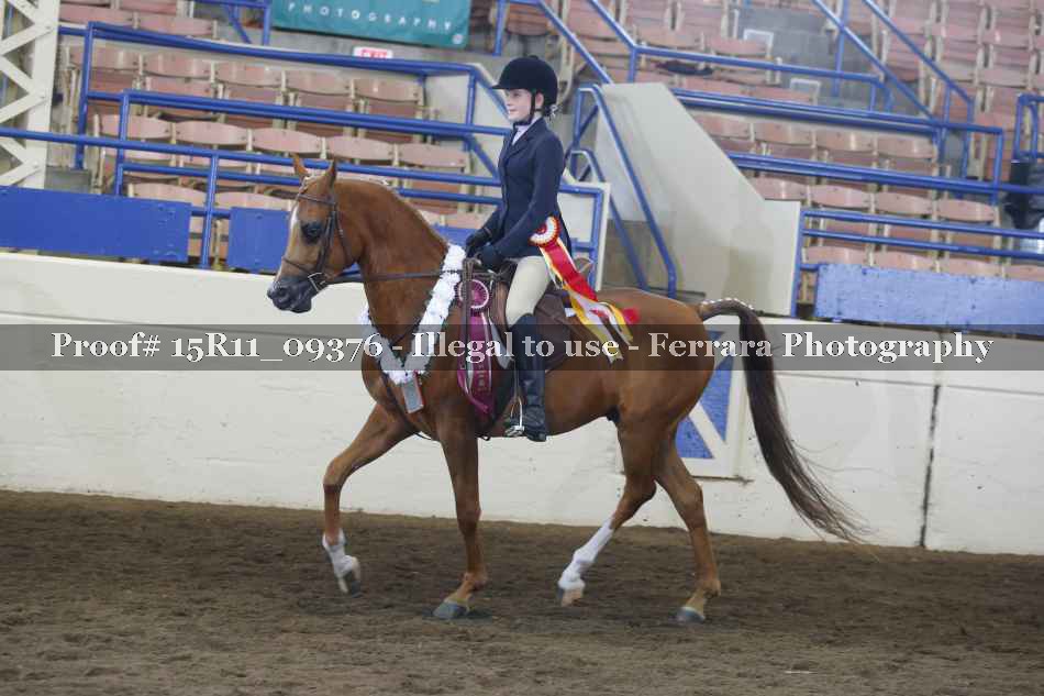 Proof 15R11_09376