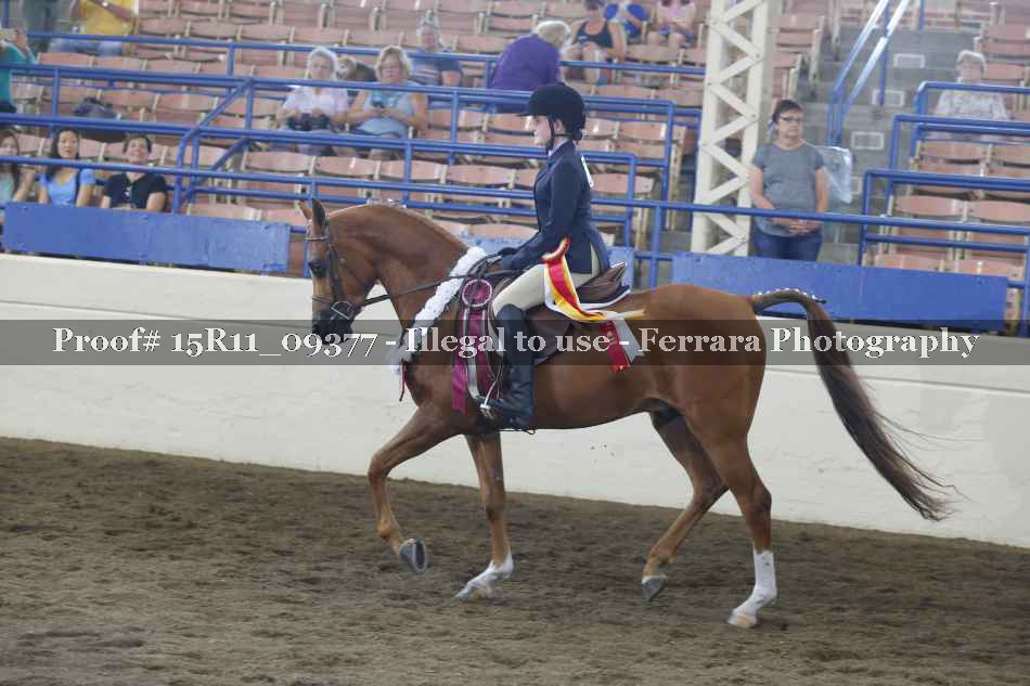 Proof 15R11_09377