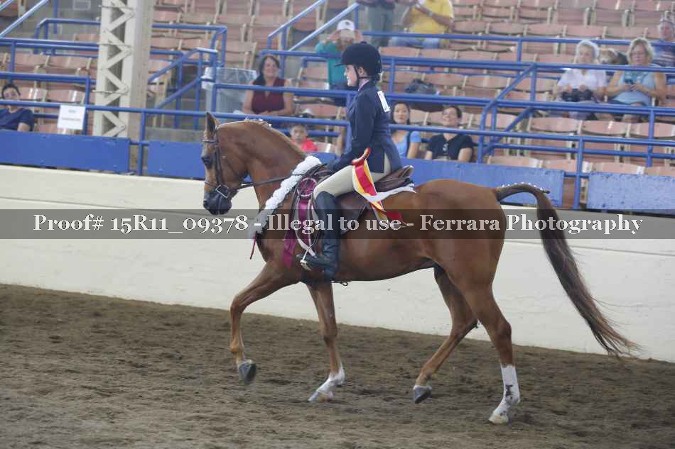 Proof 15R11_09378