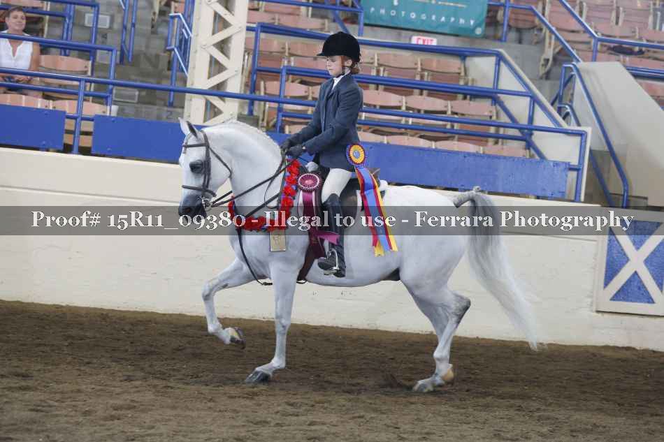 Proof 15R11_09380
