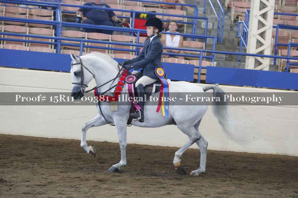 Proof 15R11_09381