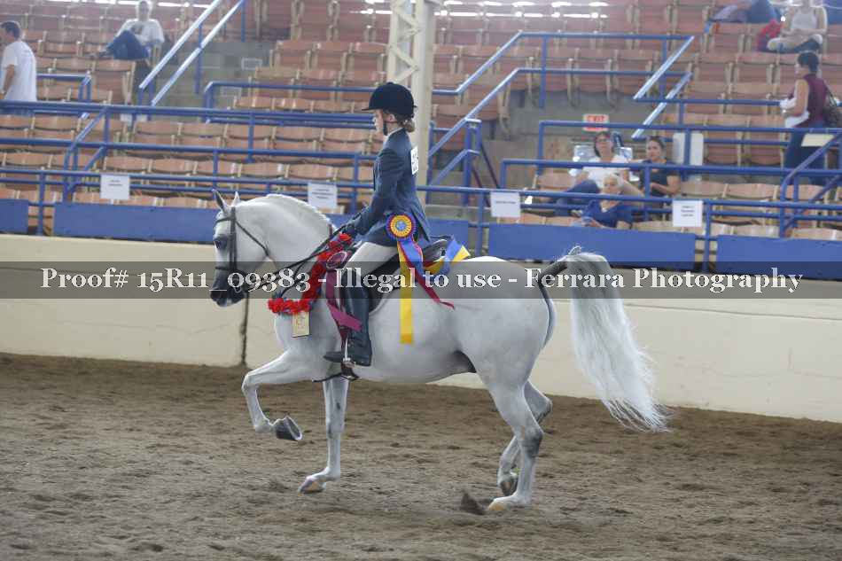 Proof 15R11_09383