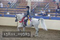 15R11_09383 proof