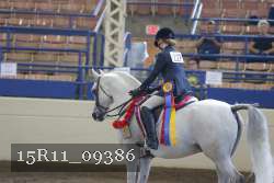 15R11_09386 proof