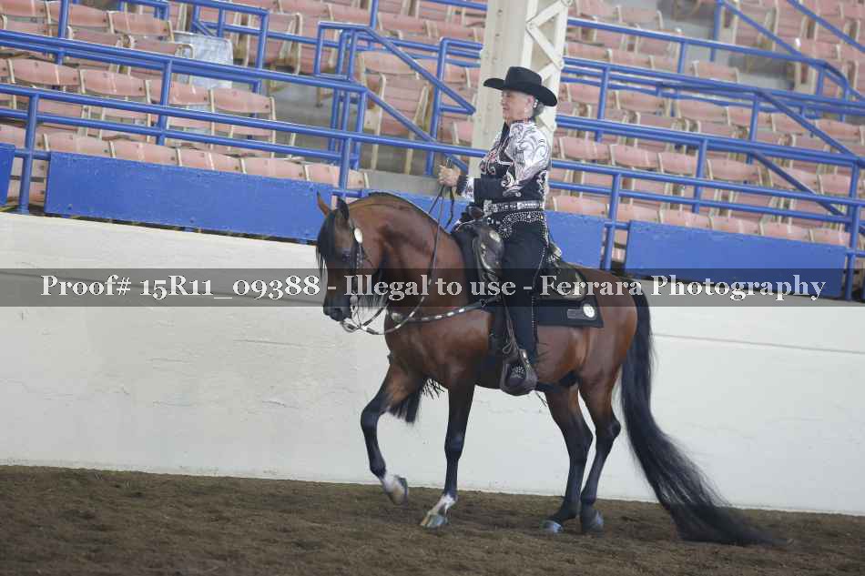 Proof 15R11_09388