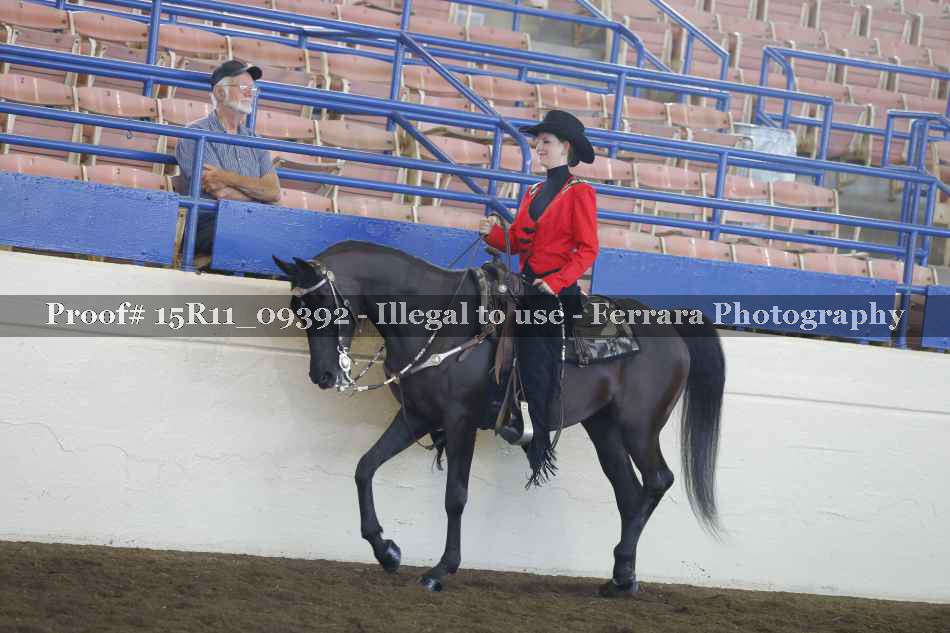 Proof 15R11_09392