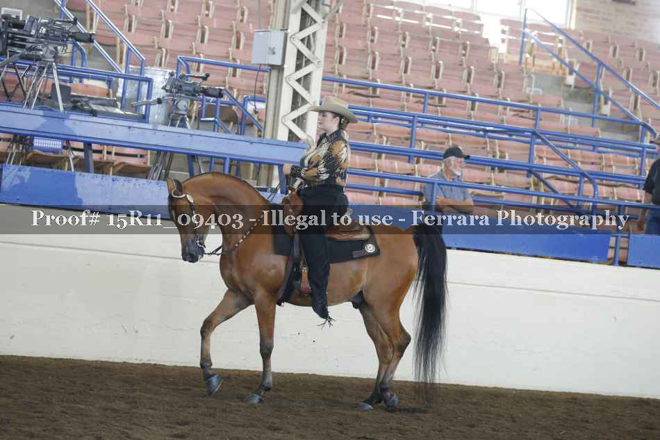 Proof 15R11_09403