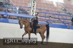 15R11_09403 proof