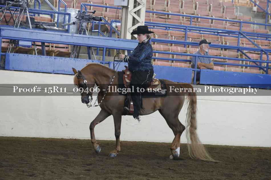 Proof 15R11_09406