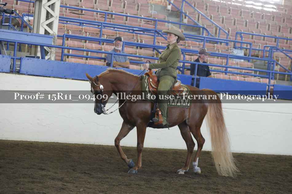Proof 15R11_09409