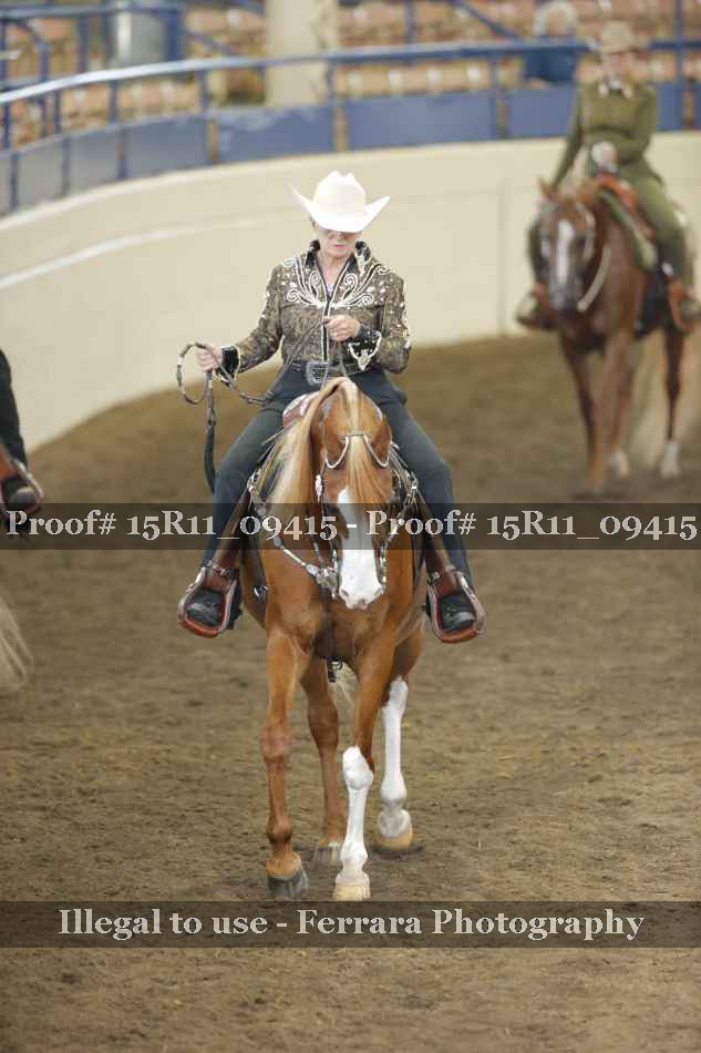 Proof 15R11_09415