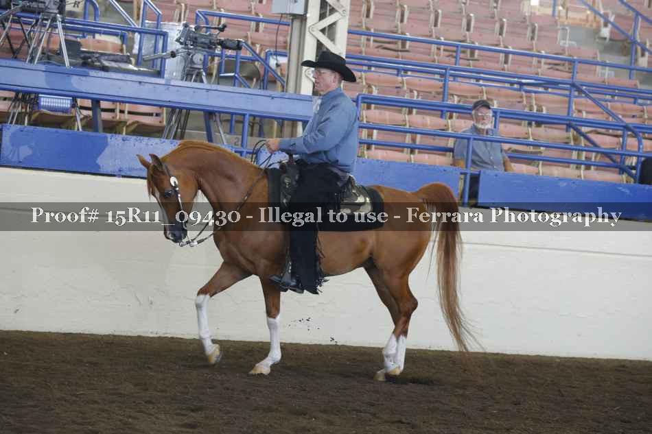 Proof 15R11_09430
