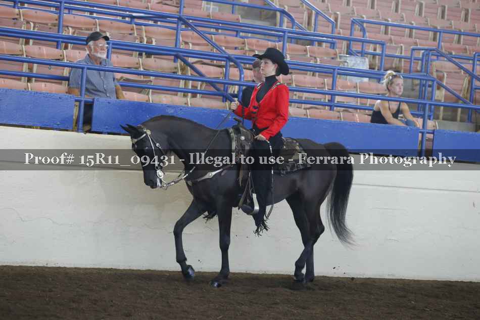 Proof 15R11_09431