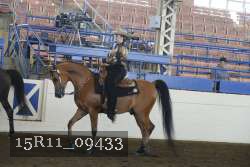 15R11_09433 proof