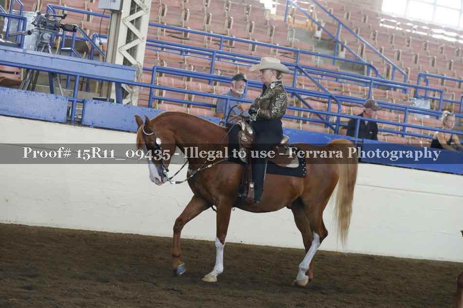 Proof 15R11_09435