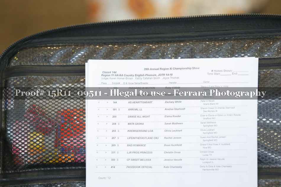 Proof 15R11_09511